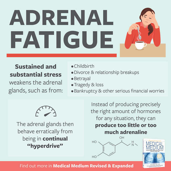 Adrenal Fatigue