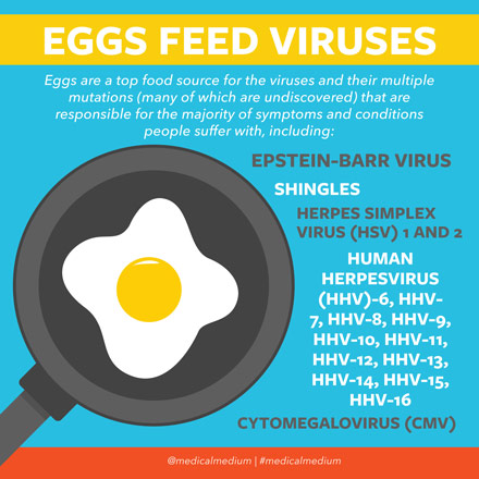 EGGS FEED VIRUSES