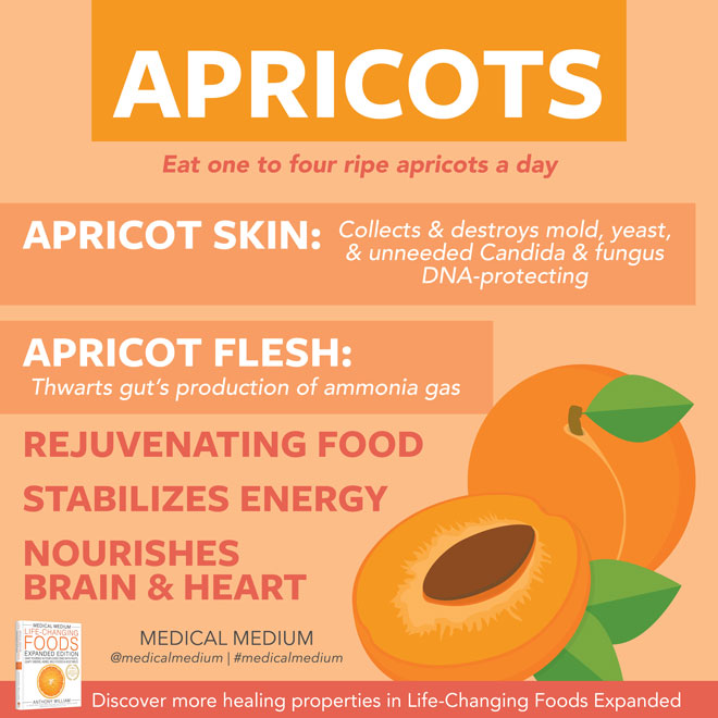 Apricots: Rejuvenation Fruit