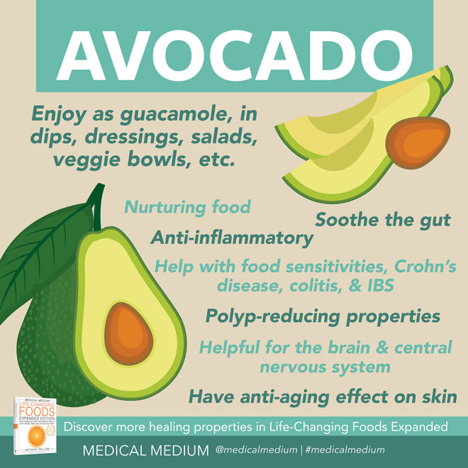 Avocado: The Nurturer