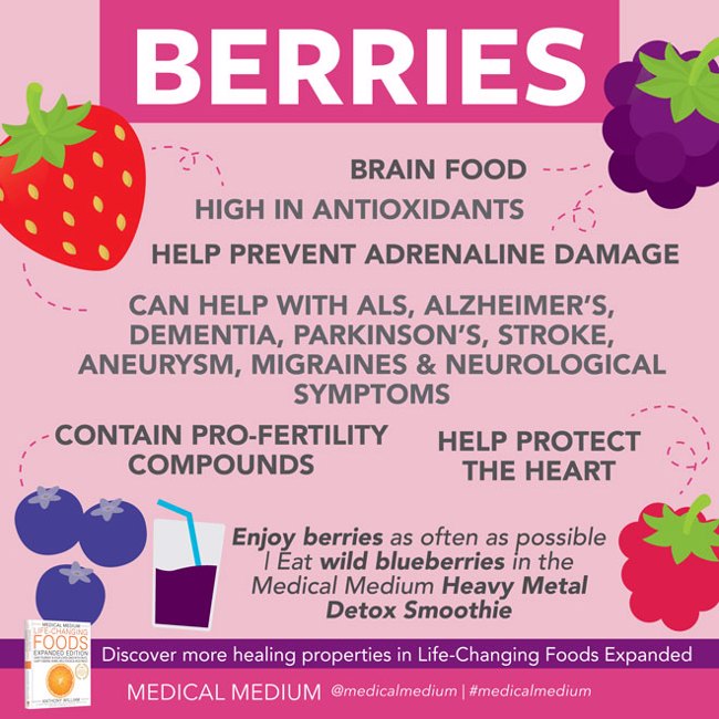 Berries: Brain Food