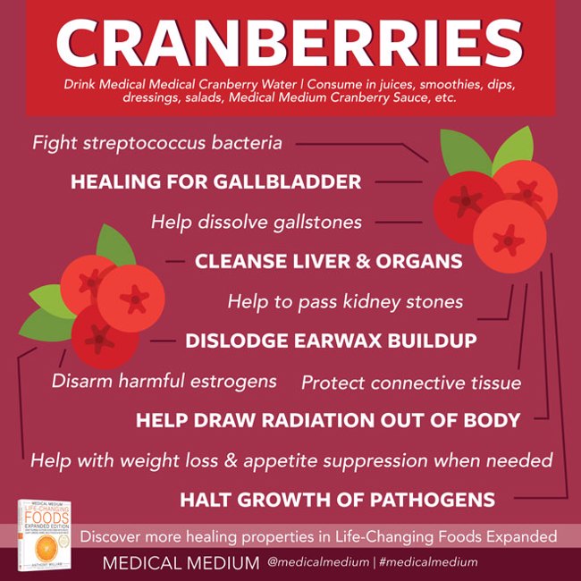 Healing Benefits of Cranberries