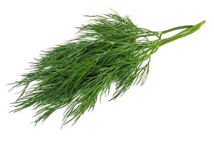 Dill