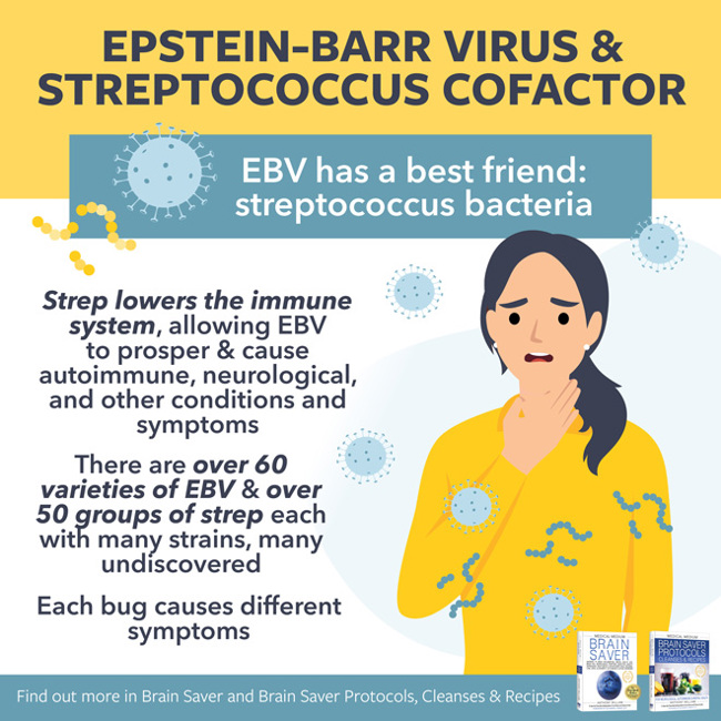 Epstein-Barr Virus & Streptococcus Cofactor