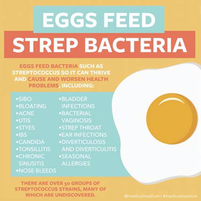 Eggs Feed Strep Bacteria