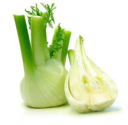 Fennel