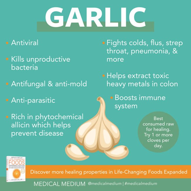 Garlic: Life-Changing Food