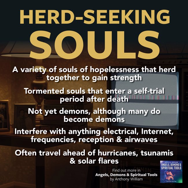 Herd-Seeking Souls