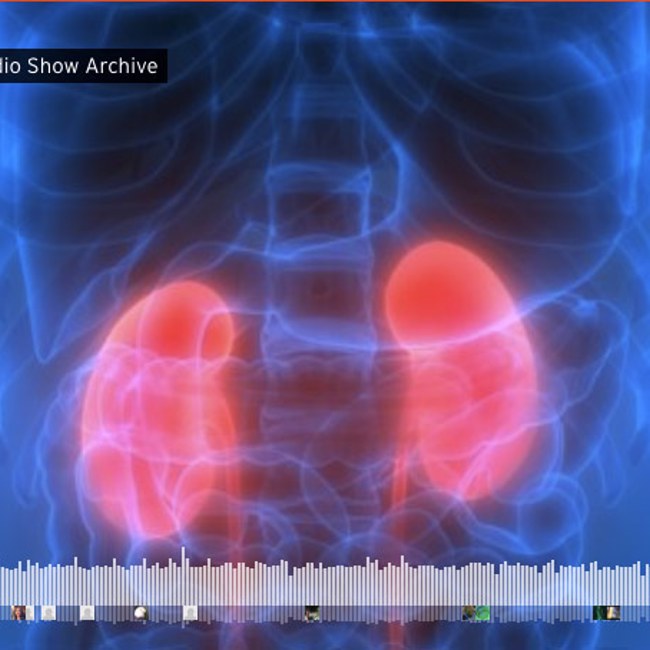 Kidney Health 