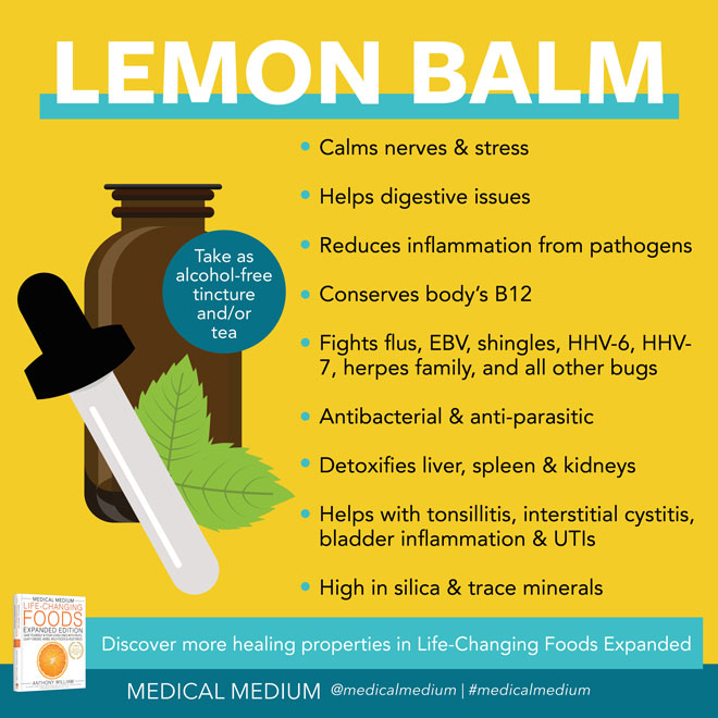 Lemon Balm: A Life-Changing Herb 