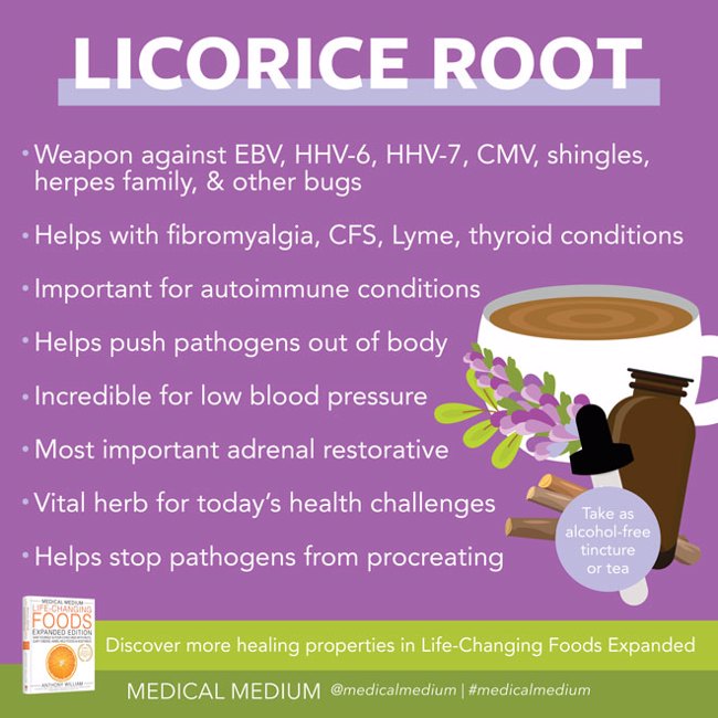 Licorice Root: Critical Pathogen Fighter