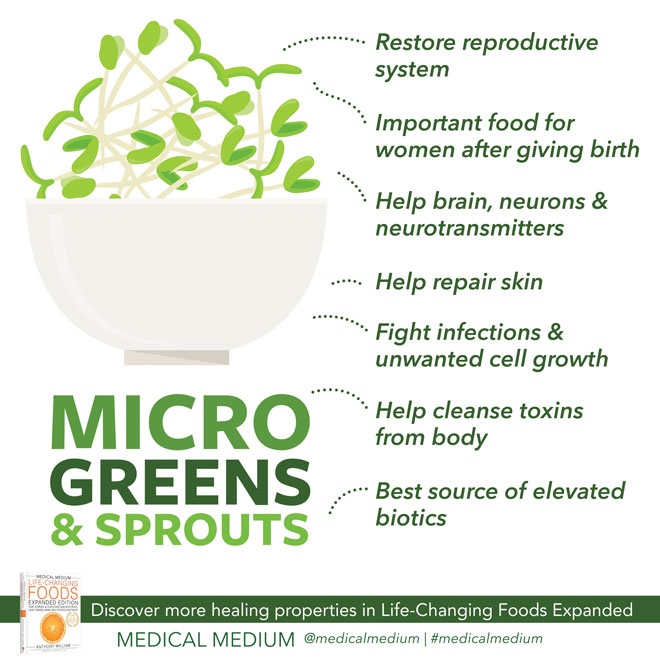 Sprouts & Microgreens: Revitalizing Foods