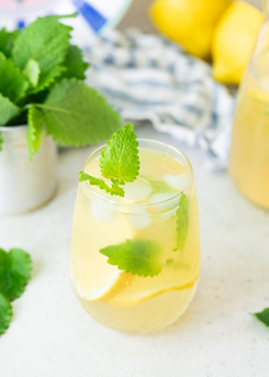 Lemon Balm Iced Tea