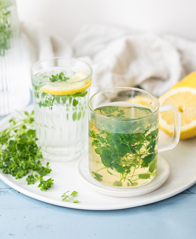 Fresh Oregano Tea & Water