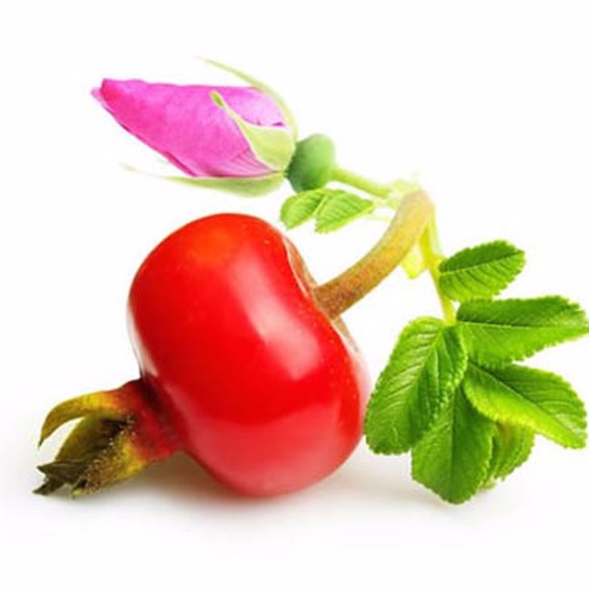 Rose Hips