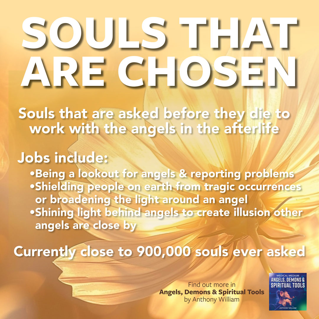 Souls That Are Chosen