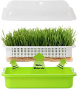 Seed Sprouter Tray