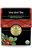 Uva Ursi Tea